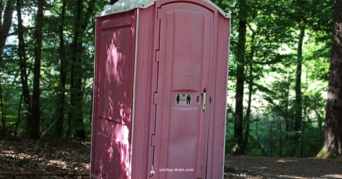 Natural Toilet Unclog - Unclog Drain
