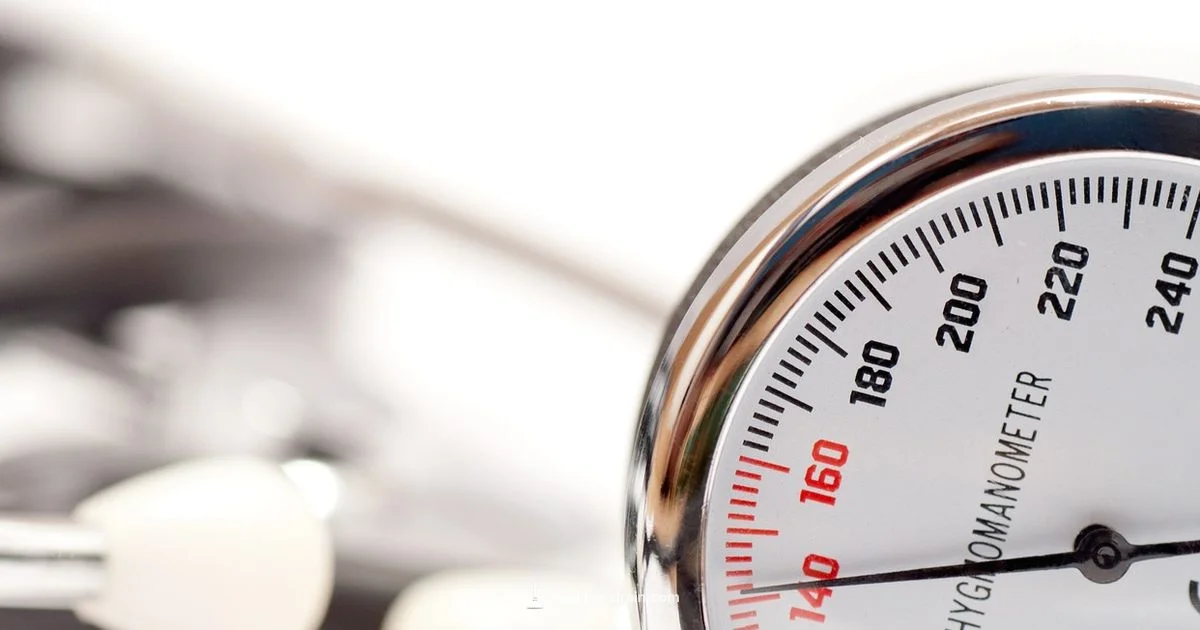 Arteries Blocked Guide - Unclog Drain