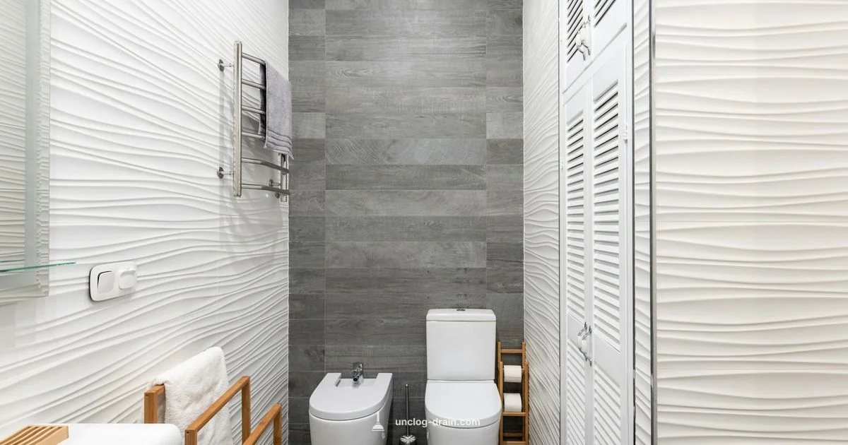 Toilet Pipe Clogged Toilet Pipe Clogged - Unclog Drain