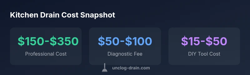 Infographic showing cost ranges for kitchen drain unclog: professional, diagnostic, DIY tool costs