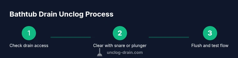 Infographic showing steps to unclog a bathtub drain