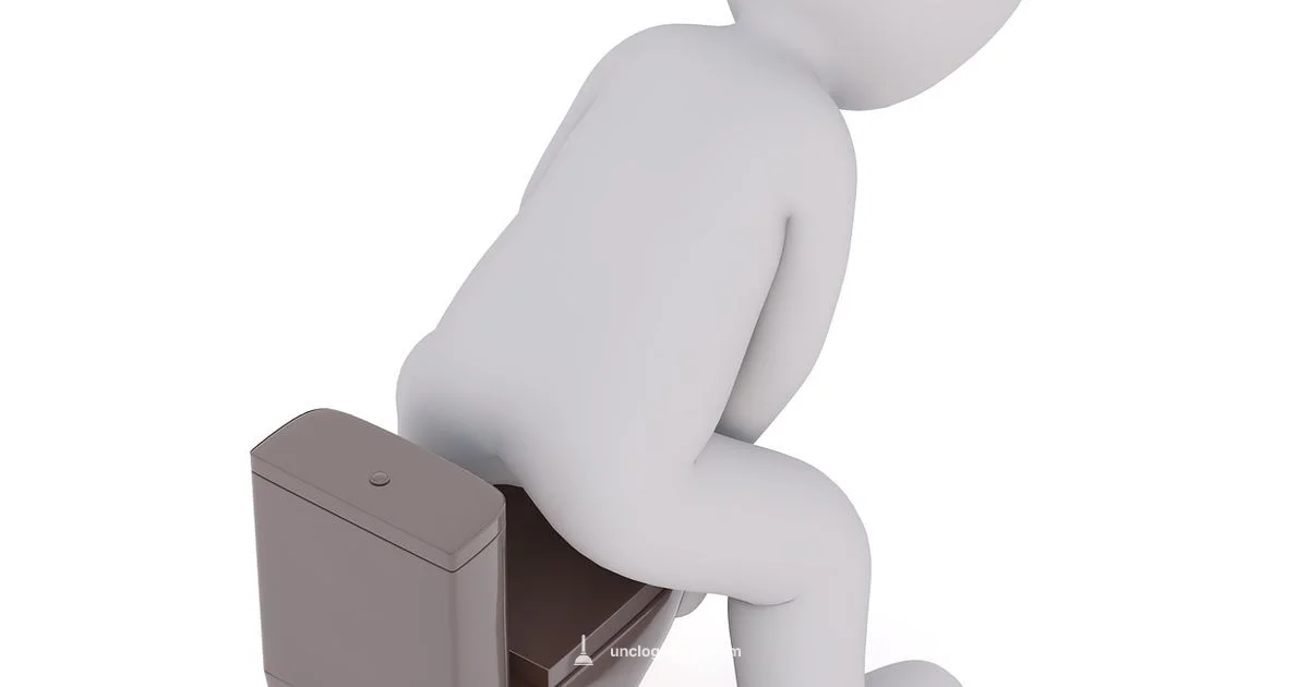 Toilet Snake Guide - Unclog Drain