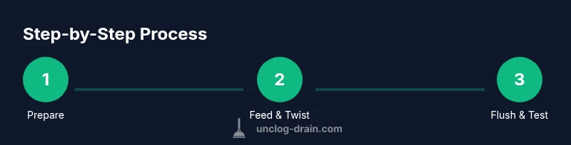 Infographic showing a three-step process for using a snake plunger