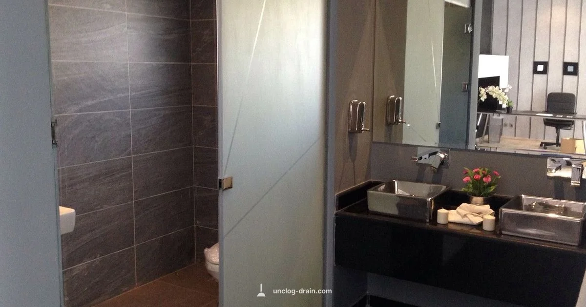 Toilet Clog Fix - Unclog Drain