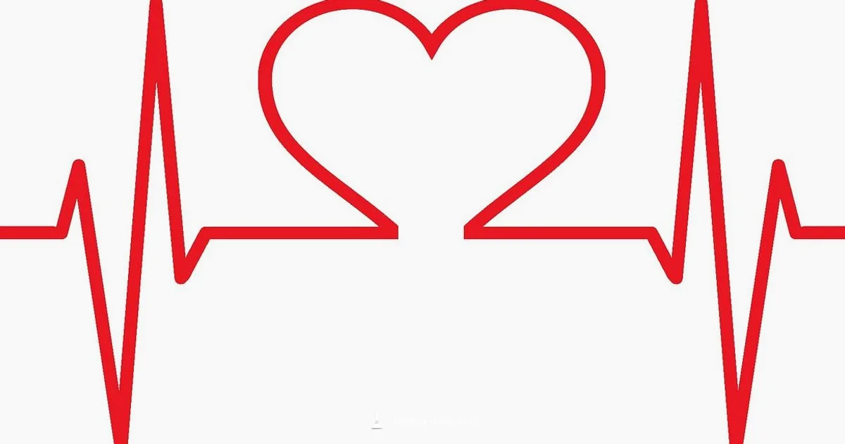 Artery Health Guide Artery Health Guide - Unclog Drain