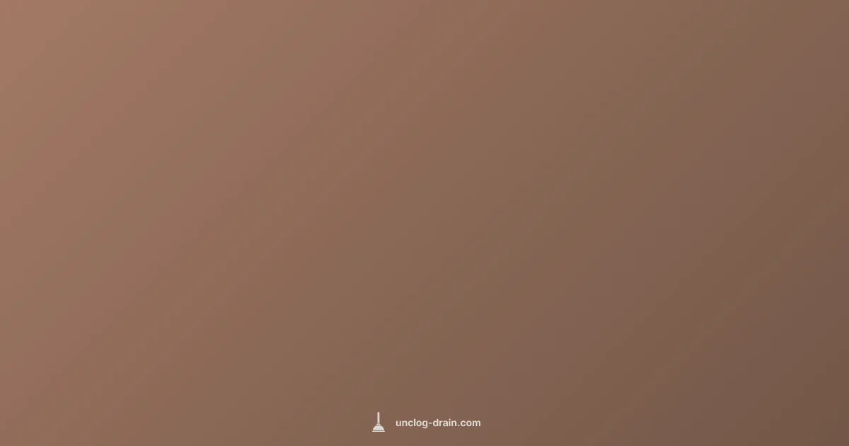 Toilet Unclog Fix - Unclog Drain (illustration)