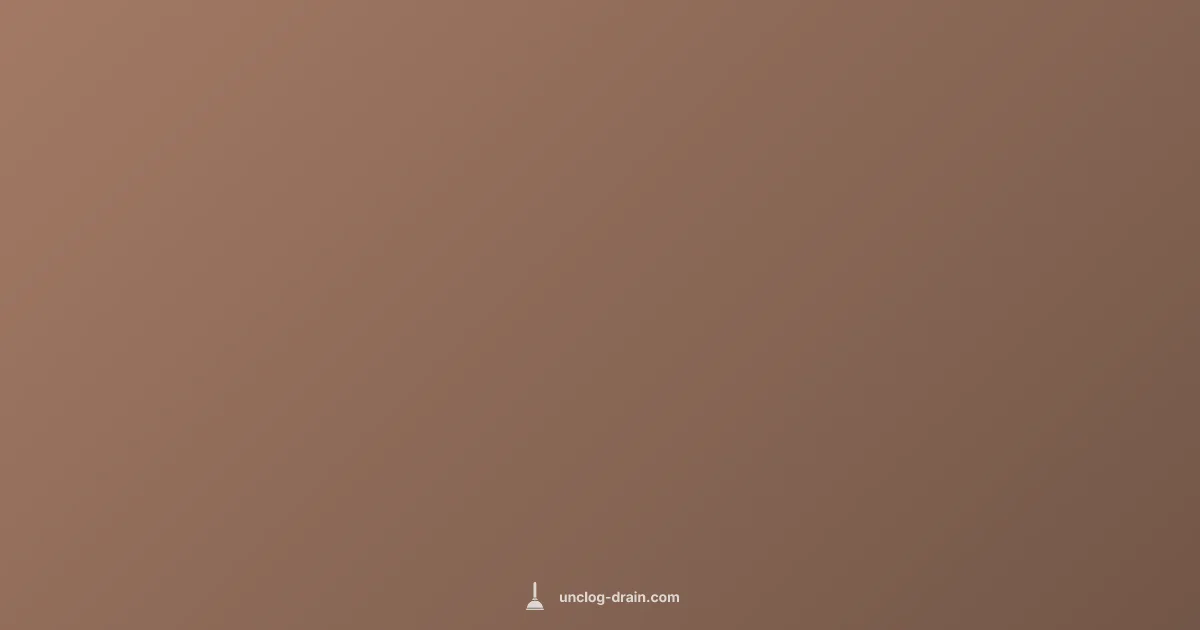 Toilet Overflow Fix - Unclog Drain (illustration)