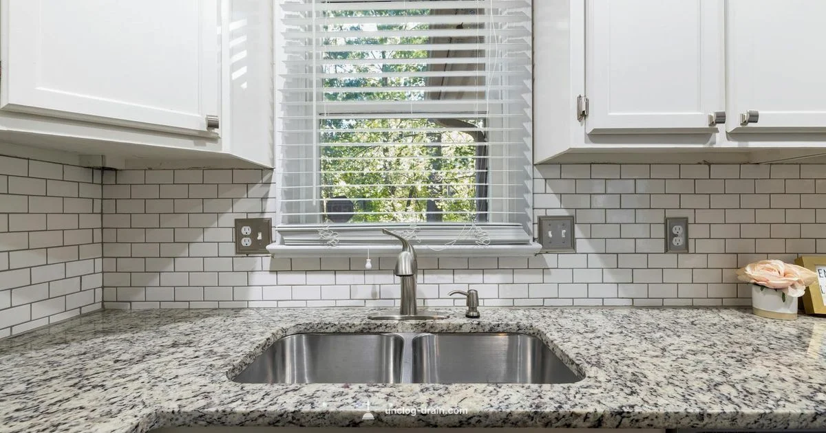 Clogged Disposal Fix - Unclog Drain