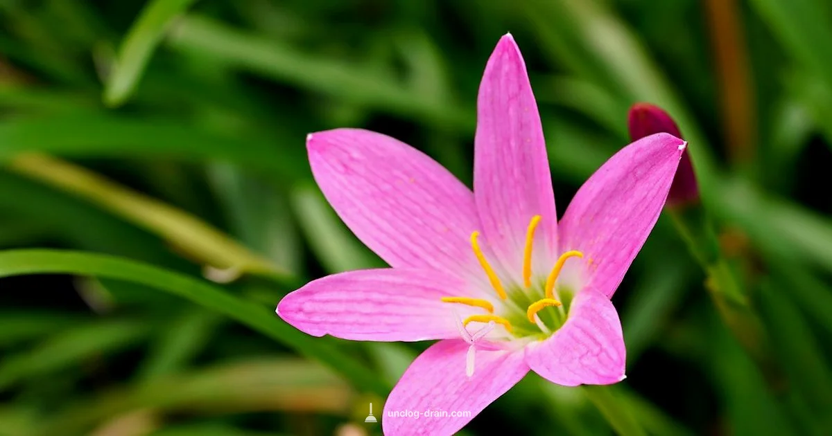 Clogged Duct Guide - Unclog Drain