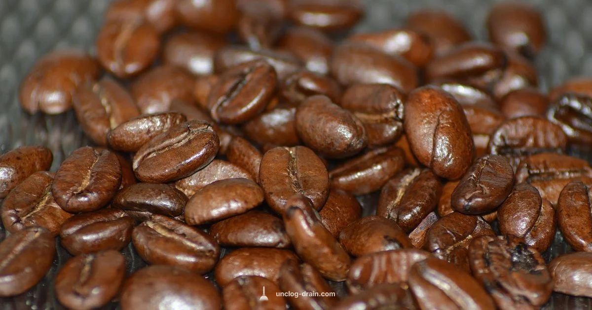 Ninja Coffee Unclog - Unclog Drain