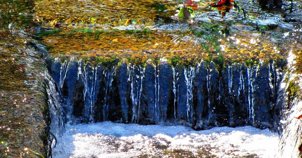 Fix a Clogged Drain Fix a Clogged Drain - Unclog Drain