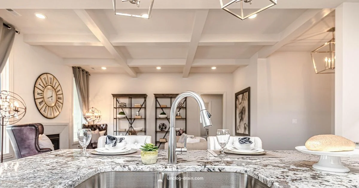 Clogged Disposal Fix - Unclog Drain