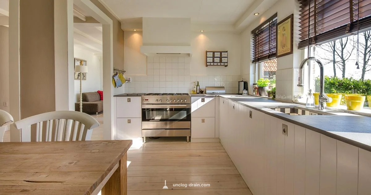 Unclog Insinkerator Guide - Unclog Drain