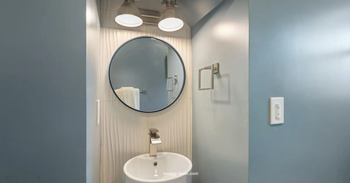 Toilet Slow Drain Fix - Unclog Drain