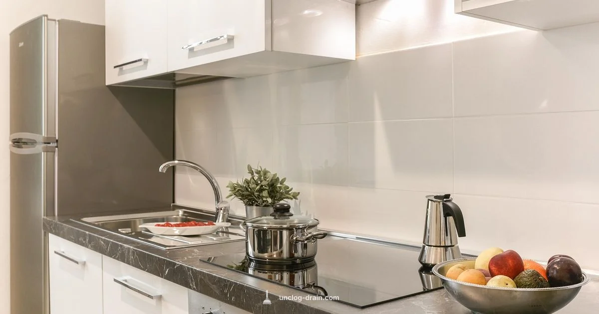 Disposal Not Draining - Unclog Drain