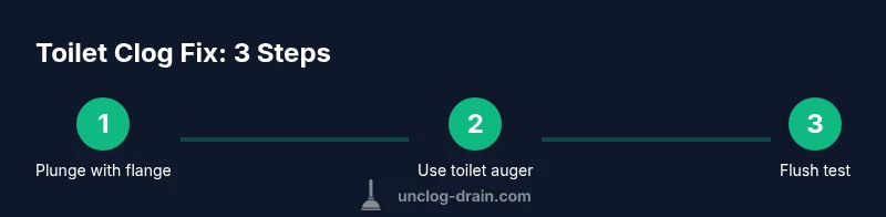 Three-step infographic showing plunger, auger, and test flush.