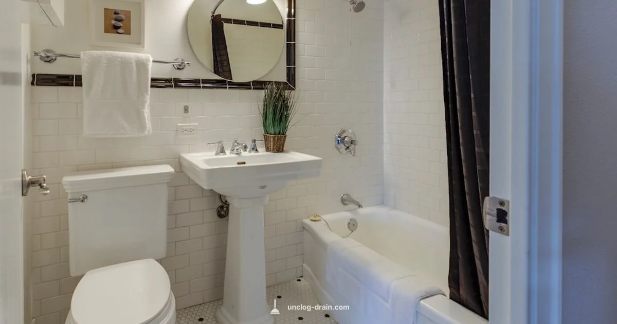 Clogged Toilet Fix - Unclog Drain