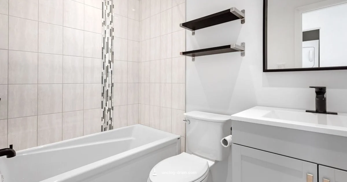 Toilet Cost Guide - Unclog Drain