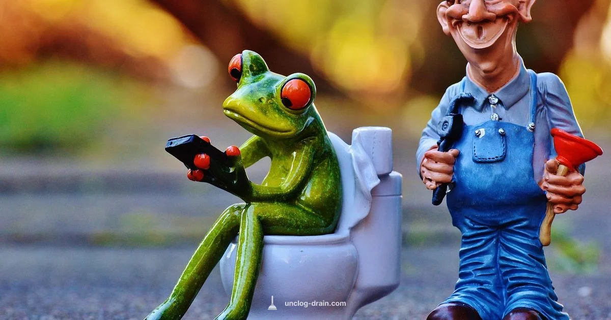 Toilet Clog Fix - Unclog Drain