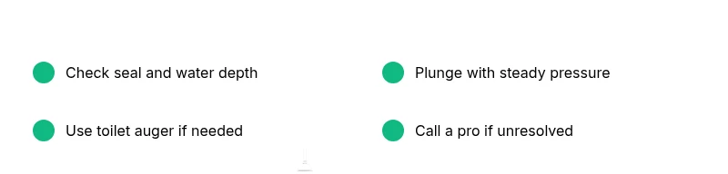 Checklist infographic for diagnosing toilet plungers