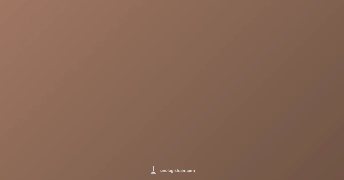 Unclog Drains Fast (illustration)