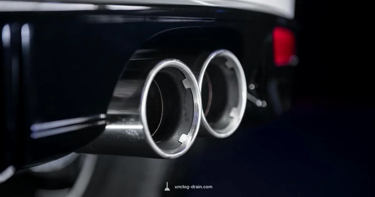 Catalytic Check Catalytic Check - Unclog Drain