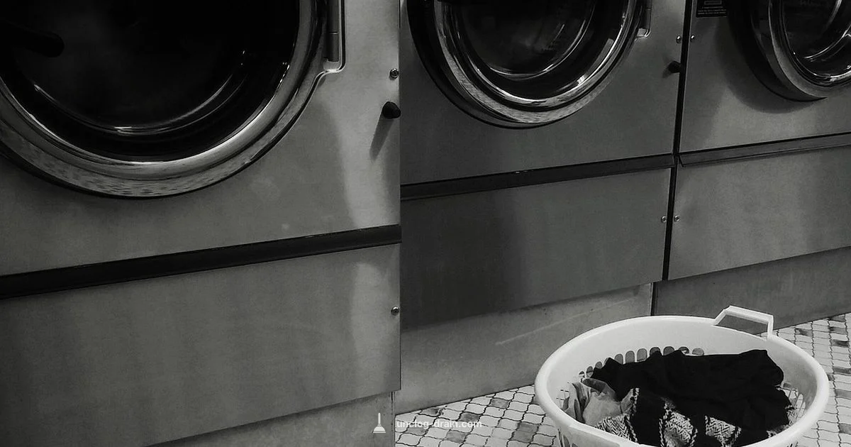 Washer Drain Fix - Unclog Drain