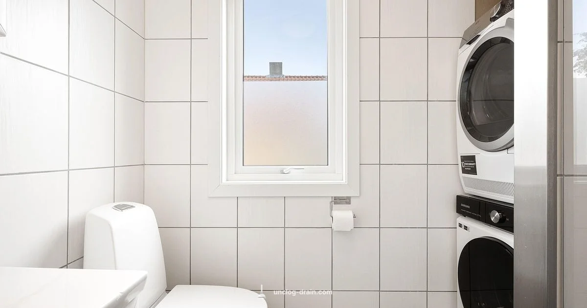 Toilet Clog Fix - Unclog Drain