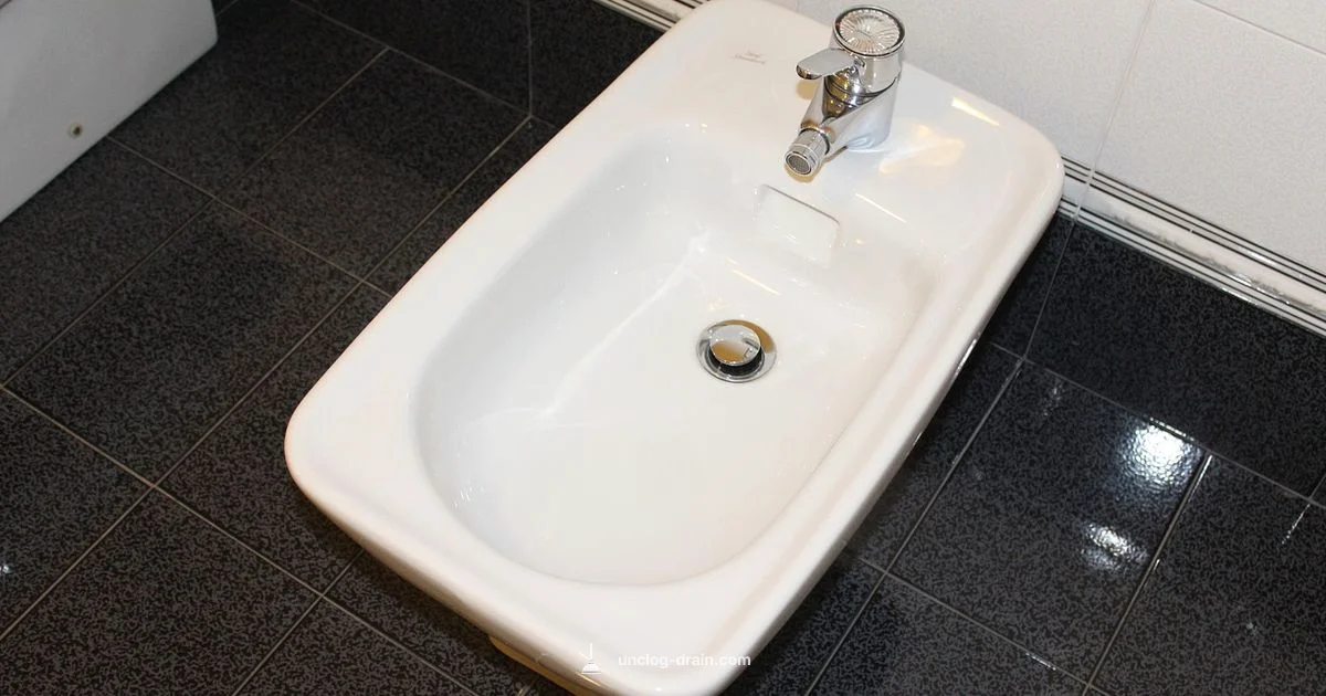 Toilet Plunge Guide - Unclog Drain