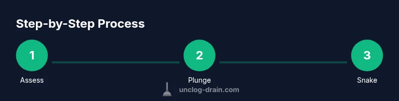 Infographic showing a three-step process to unclog pipes: assess, plunge, snake