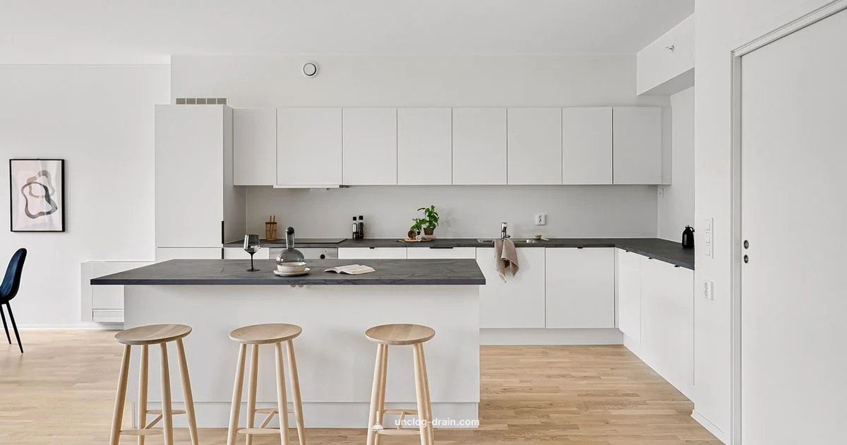 Disposal Clog Fix Disposal Clog Fix - Unclog Drain