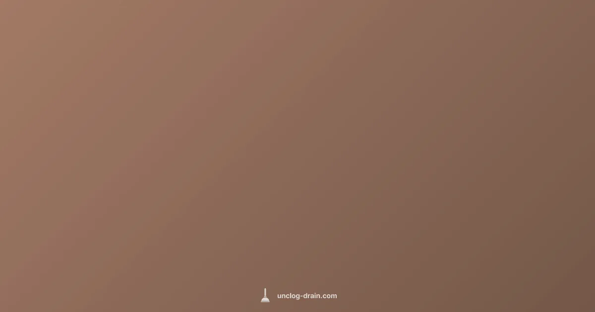 Blockage Guide - Unclog Drain (illustration)