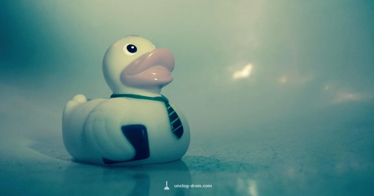 Unblock Bath Drain Unblock Bath Drain - Unclog Drain