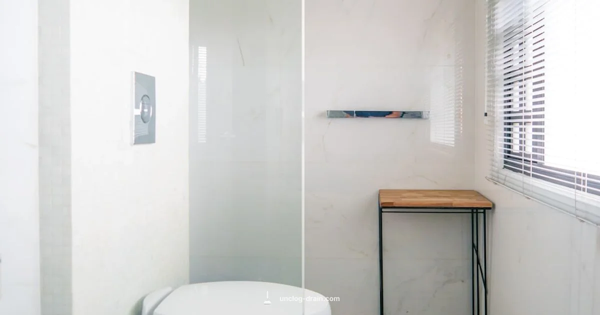 Toilet Clog Guide Toilet Clog Guide - Unclog Drain